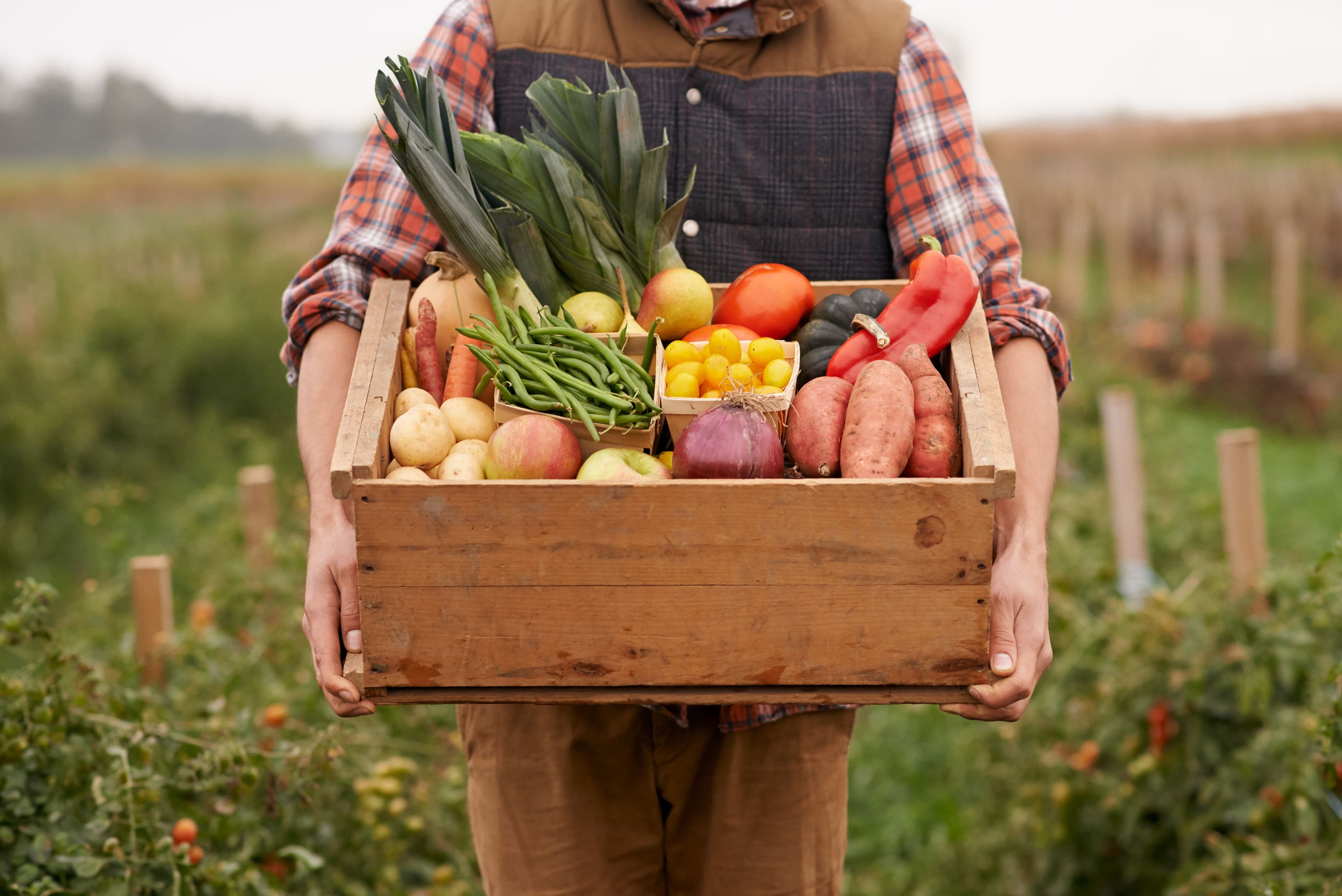 Agricultural Produce and Farming Context